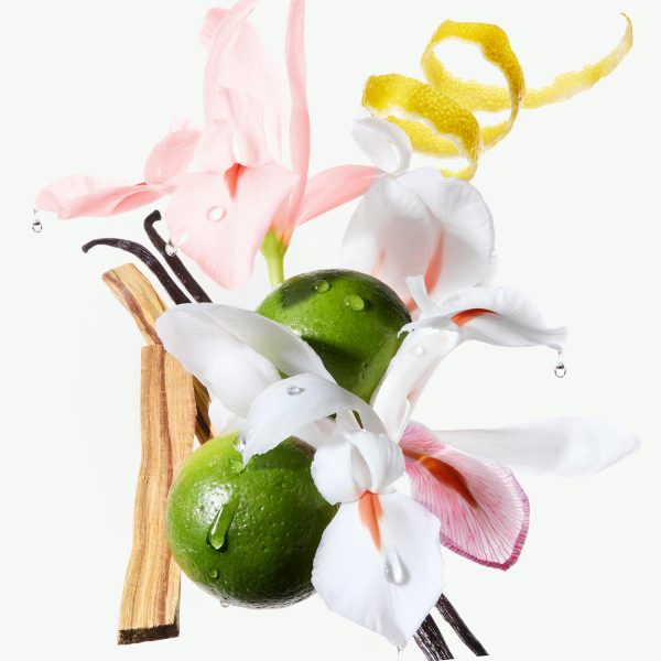 Kerastase Gloss Absolu Frizz-Glaze Kalın ve Elektriklenmeye Eğilimli Saçlar İçin Krem 240ml